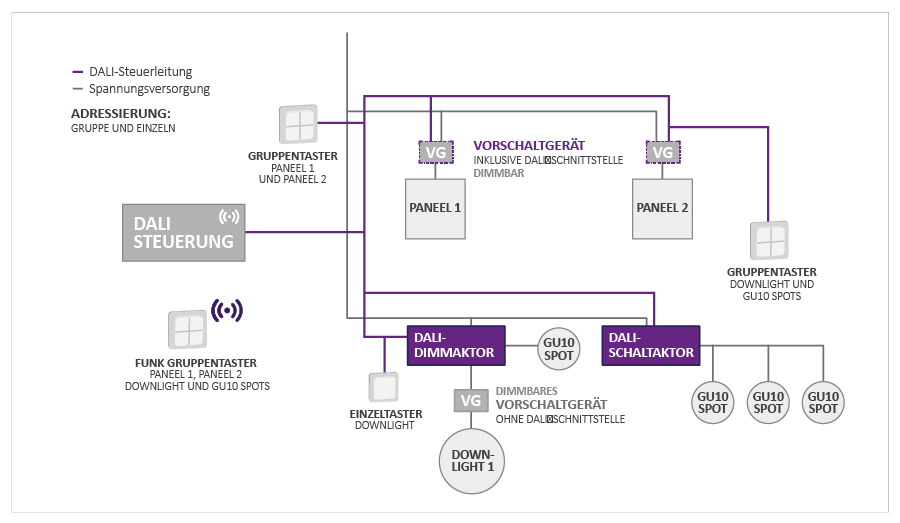 Schema einer DALI-Lichtsteuerung mit Steuerleitungen und Spannungsversorgung: DALI-Steuerung, Gruppentaster, Funk-Gruppentaster, Vorschaltger&auml;te, DALI-Dimmaktor, DALI-Schaltaktor, Downlight und GU10-Spots, mit Gruppen- und Einzeltastensteuerung.