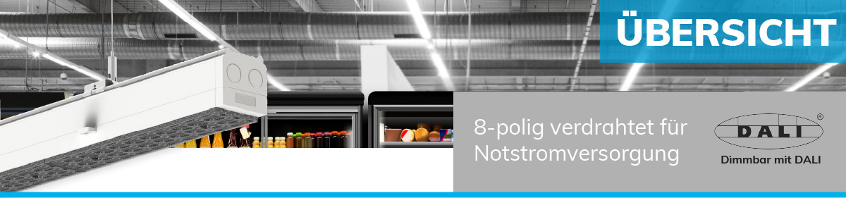 Leuchte h&auml;ngt an der Decke eines modernen Gesch&auml;fts mit Regalen. Text: &Uuml;BERSICHT, 8-polig verdrahtet f&uuml;r Notstromversorgung, Dimmbar mit DALI.