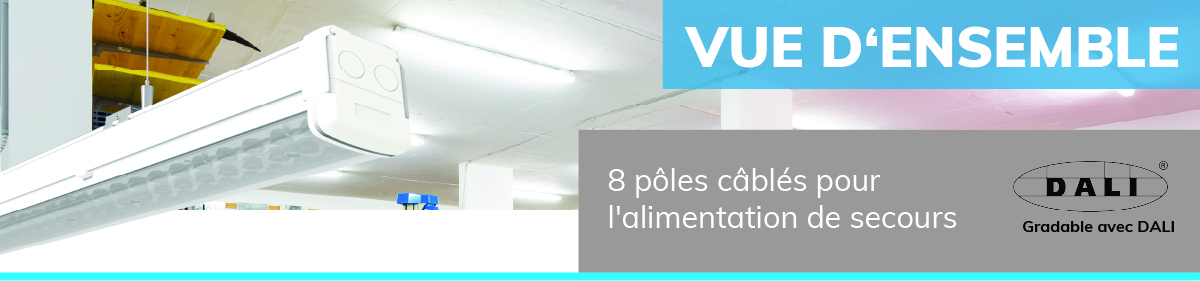 vue d'ensemble