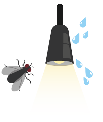 Schutz vor eindringen